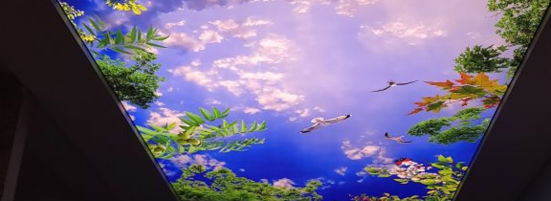TRẦN XUYÊN SÁNG IN 3D TẠI BIỆT THỰ CAO CẤP ĐÀ LẠT