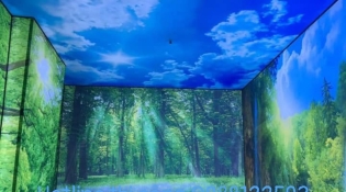 vách 3d kết hợp với tranh dán trần