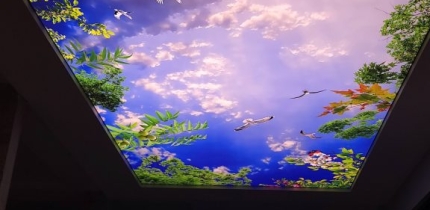 TRẦN XUYÊN SÁNG IN 3D TẠI BIỆT THỰ CAO CẤP ĐÀ LẠT