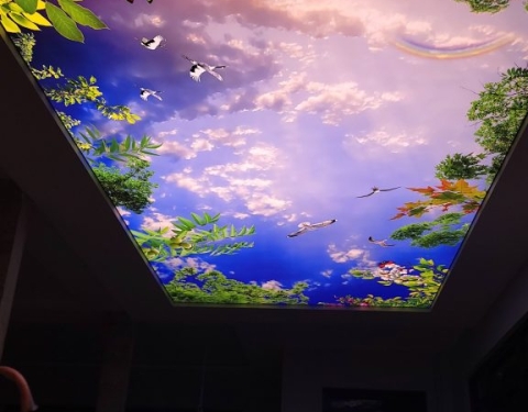 TRẦN XUYÊN SÁNG IN 3D TẠI BIỆT THỰ CAO CẤP ĐÀ LẠT