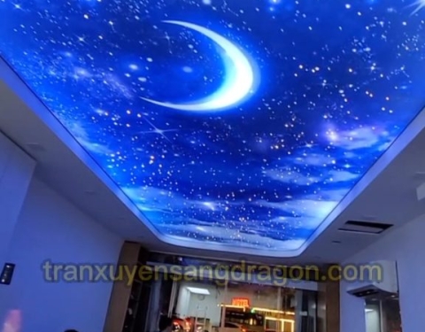 TRẦN SAO HIỆU ỨNG TẠI PHÒNG KHÁCH GIA ĐÌNH