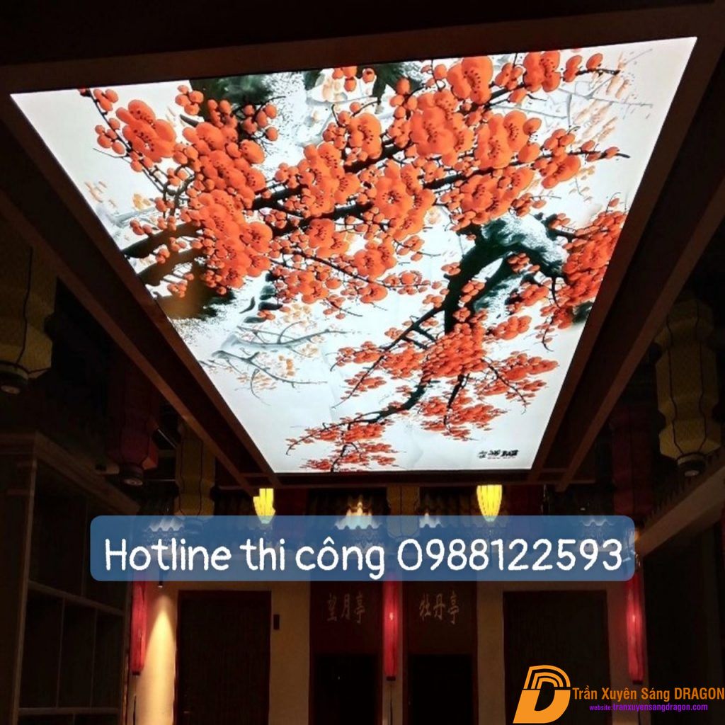 một phong cách mới lạ