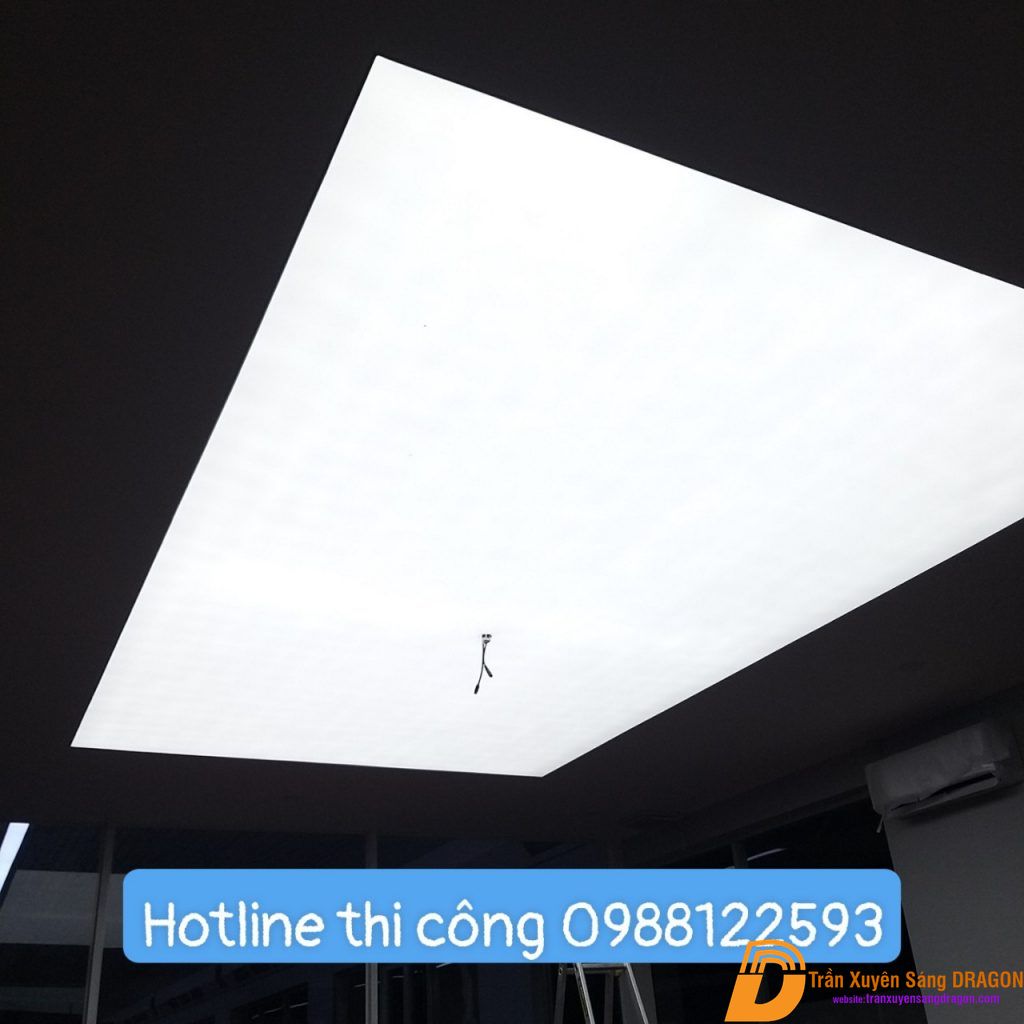 Ảnh 13