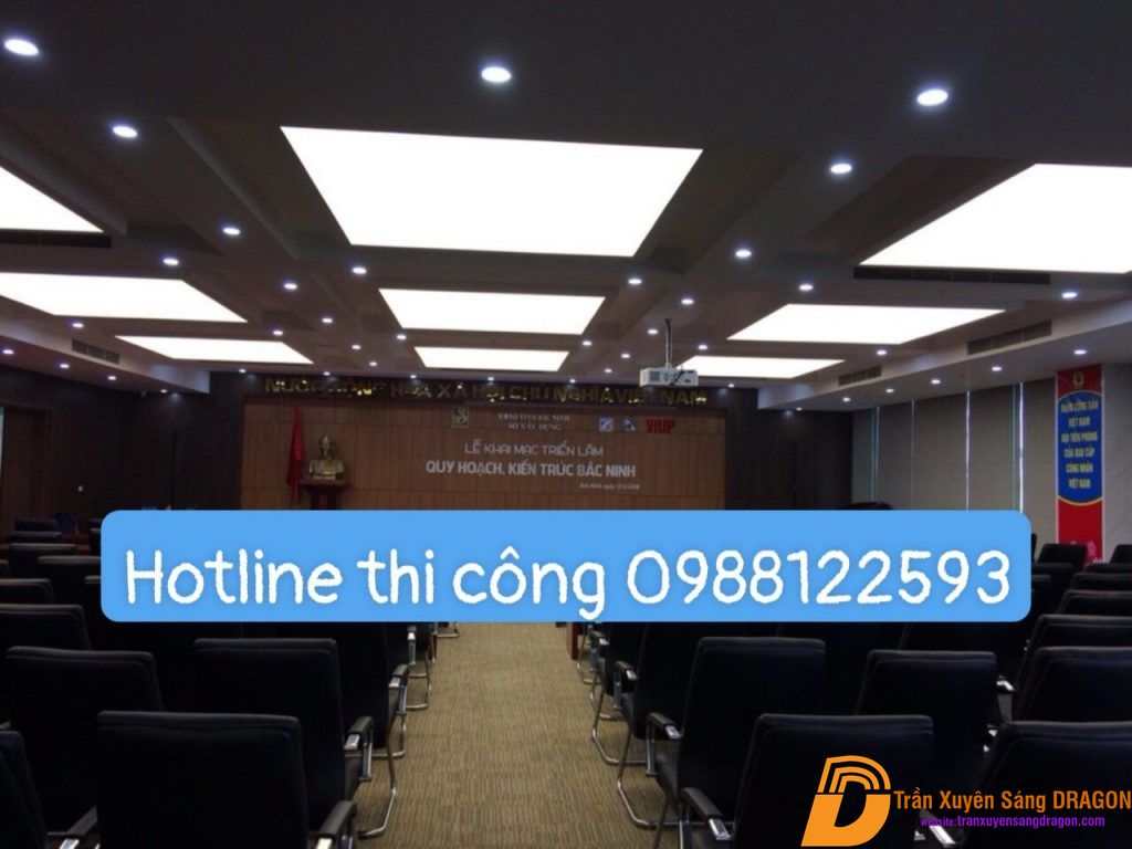 Ảnh 15