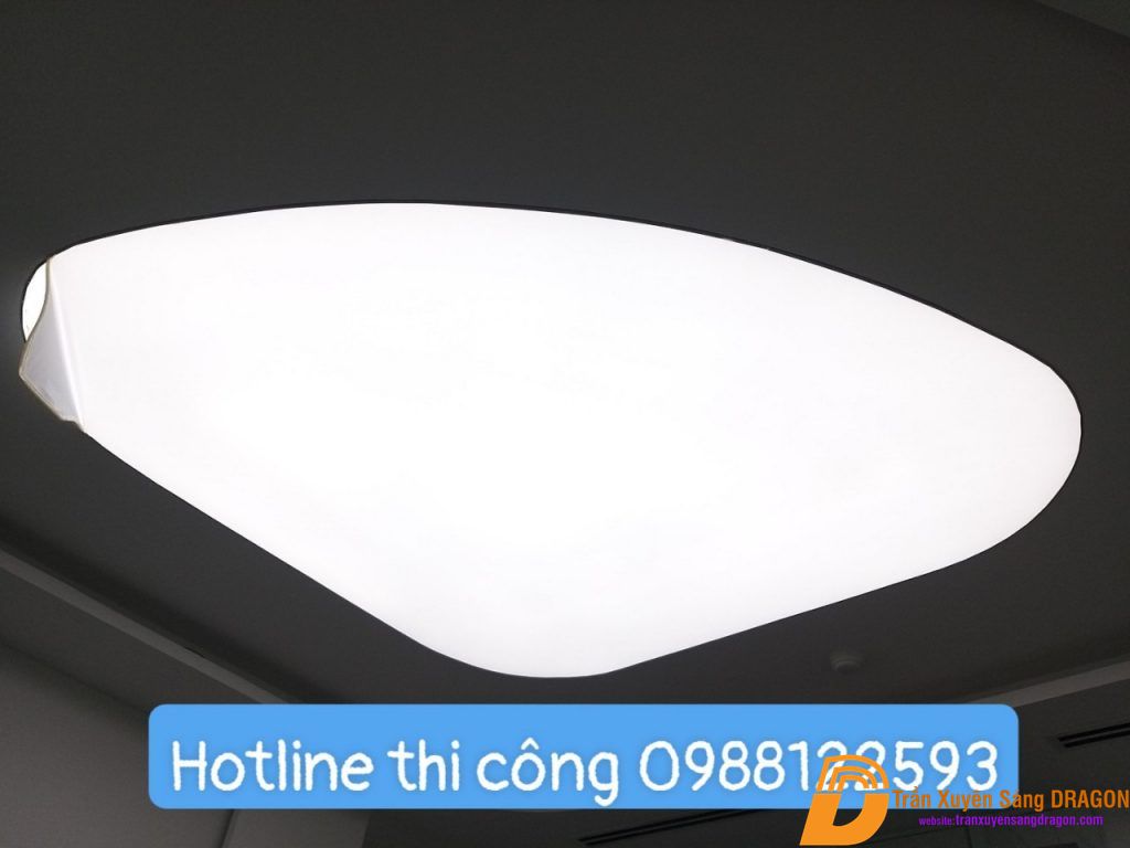 Ảnh 16