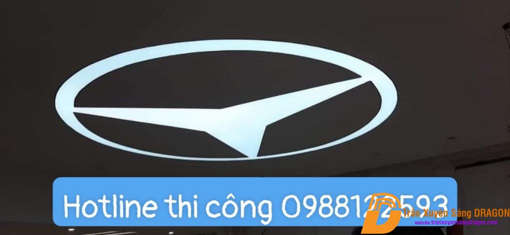 Ảnh 24