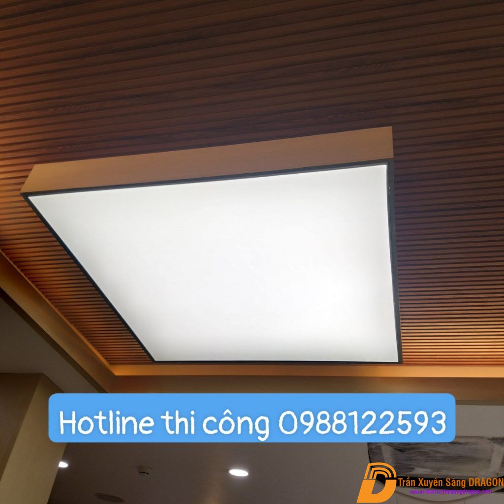 Ảnh 31