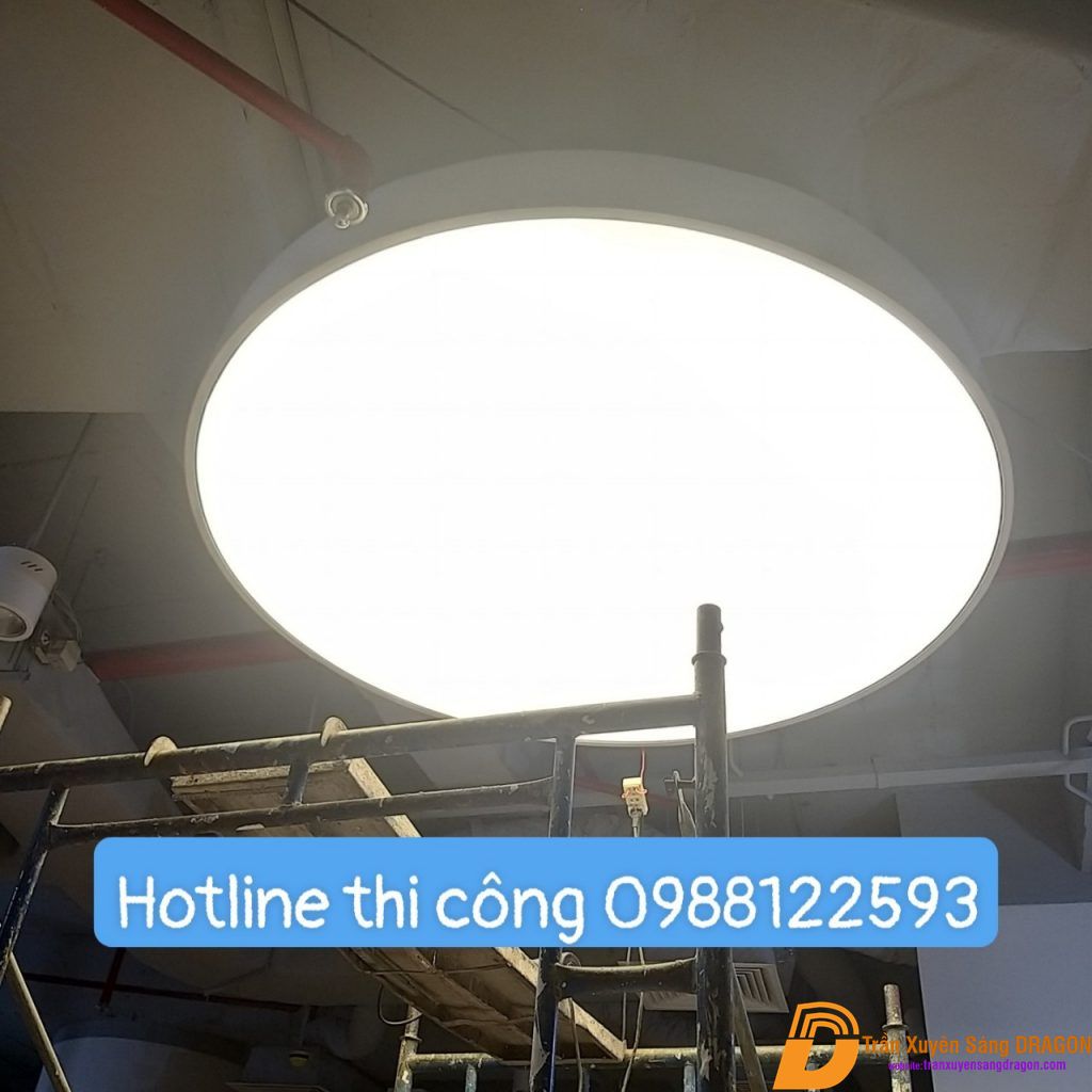 Ảnh 8