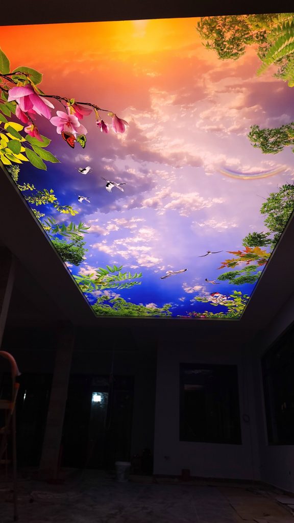 TRẦN XUYÊN SÁNG IN 3D TẠI BIỆT THỰ CAO CẤP ĐÀ LẠT