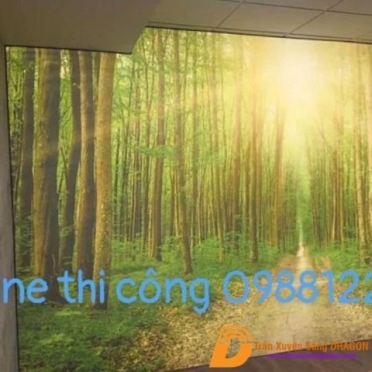 vách xuyên sáng tại một khu vực cần nhiều ánh sáng