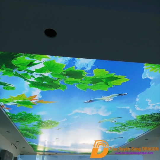 trần xuyên sáng tại Salon tóc Kiên Giang