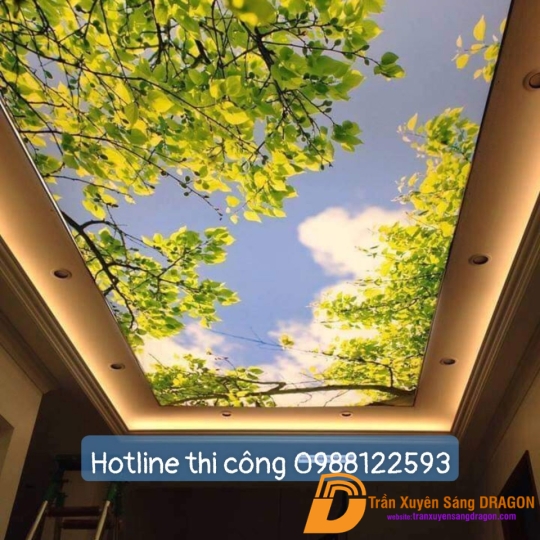 trần xuyên sáng họa tiết cổ điển tại Hà Nội