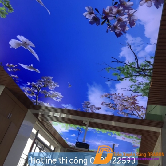 trần xuyên sáng tại salon tóc cao cấp