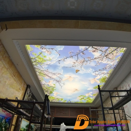 trần xuyên sáng tại phòng khách cao cấp ở Bình Dương