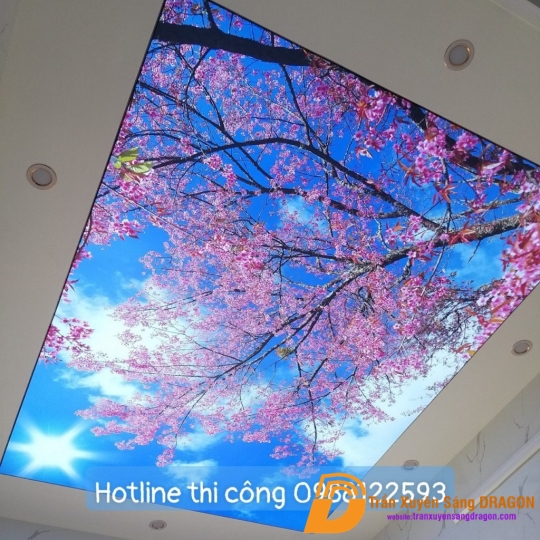  Trần xuyên sáng 3d về hoa tại phòng khách gia đình