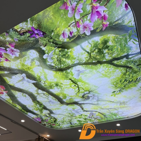 TRẦN XUYÊN SÁNG 3D PHÒNG KHÁCH
