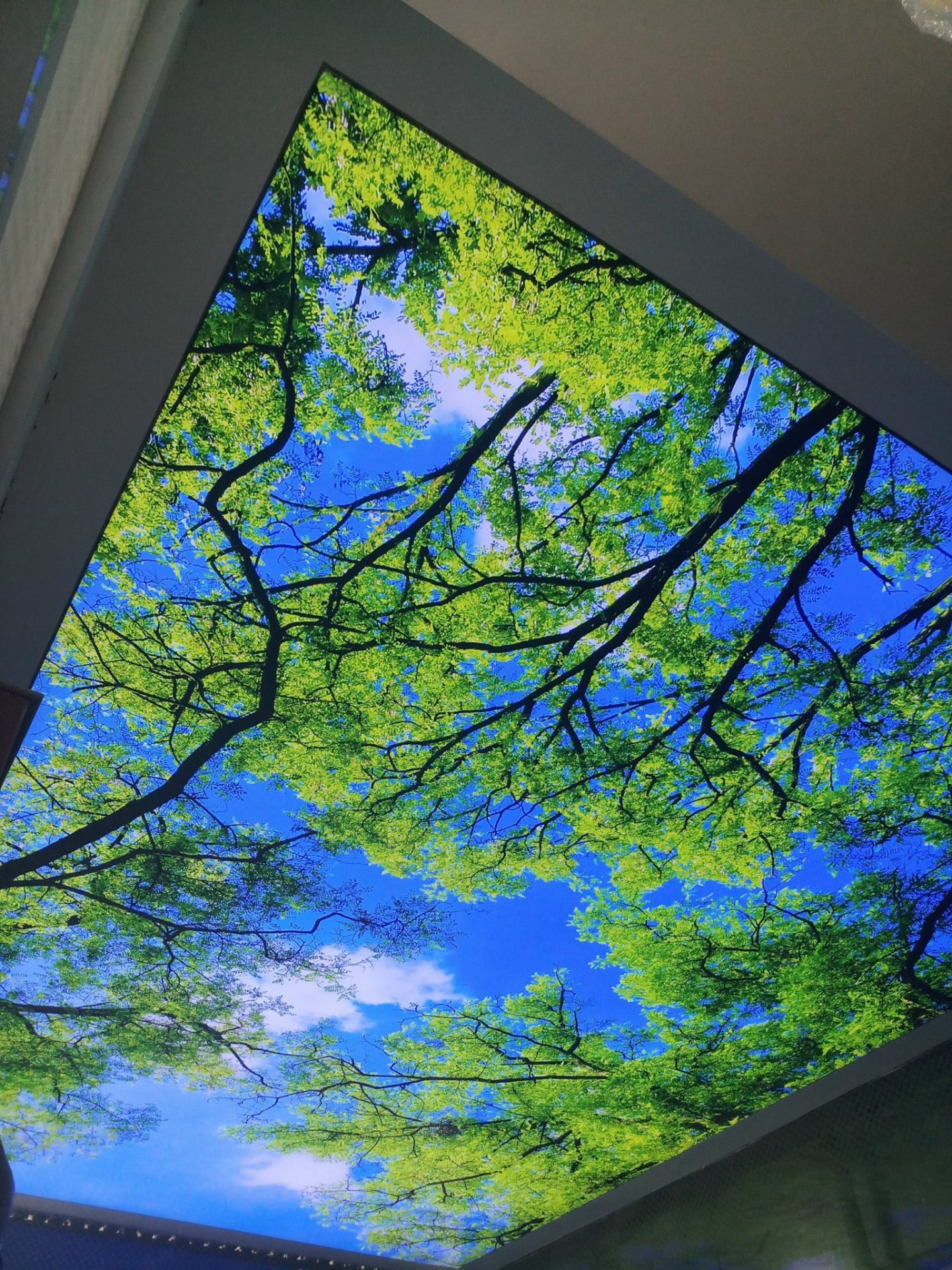 mẫu trần xuyên sáng 3d bầu trời xanh kết hợp cùng cây xanh