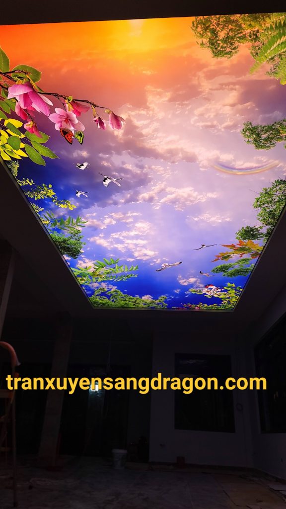 trần xuyên sáng 3d